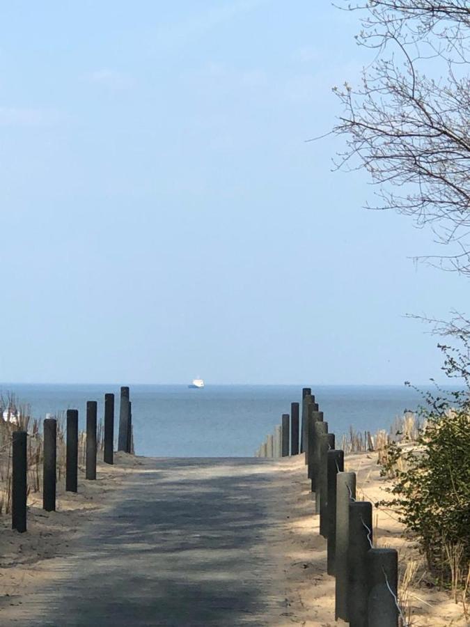 Ferienwohnung Seeblick - Insel Usedom 밤 외부 사진